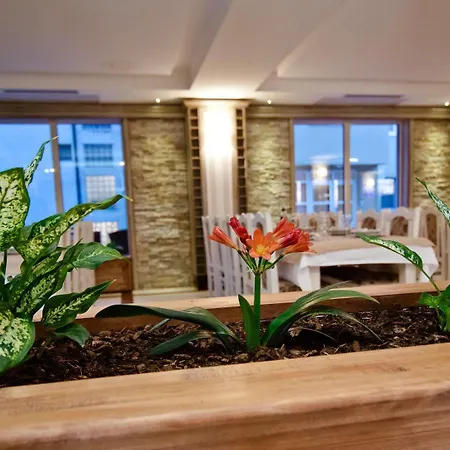 Hotel Wine Cesarica