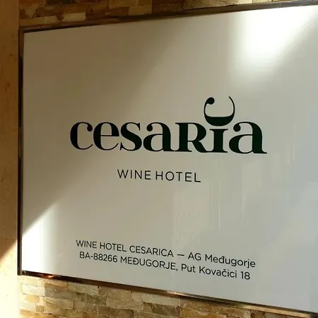 酒店 塞萨利卡酒店