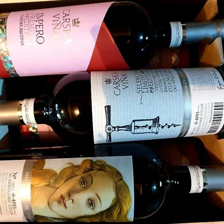塞萨利卡酒店 4* Međugorje