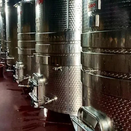 塞萨利卡酒店 酒店 Međugorje